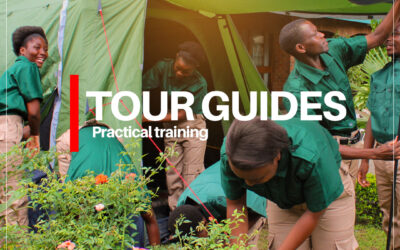 Training the Guides of Tomorrow: MIT’s Commitment to Professional Tour Guiding